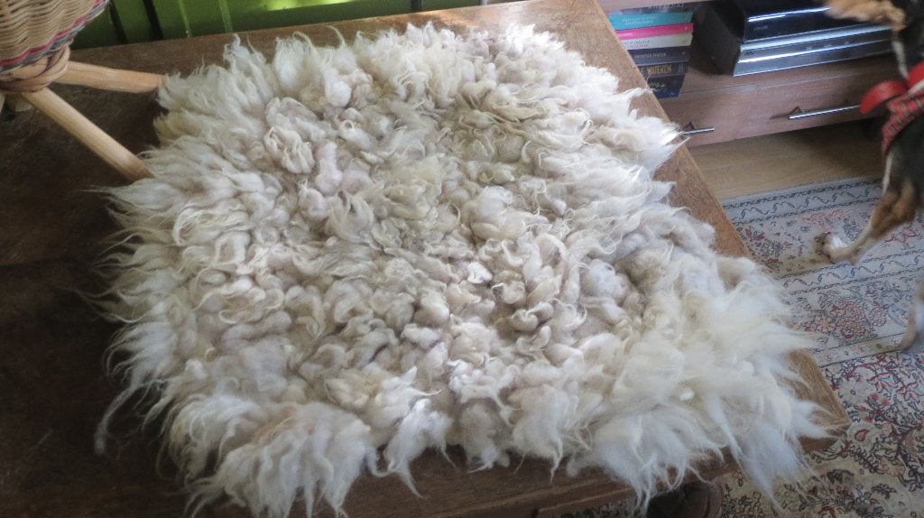Solognote schaap, vacht, gevilte wol, vilt rug, 70x60, stoel, Verzenden, Nieuw