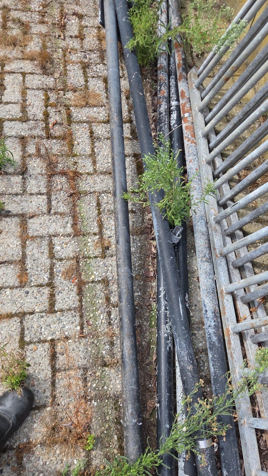 Palen, Ophalen, Gebruikt