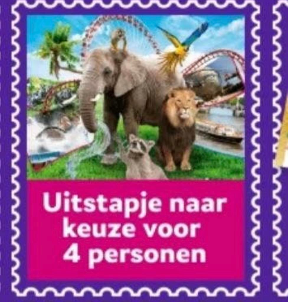 Uitstapje naar keuze voor 4 personen, Ophalen of Verzenden