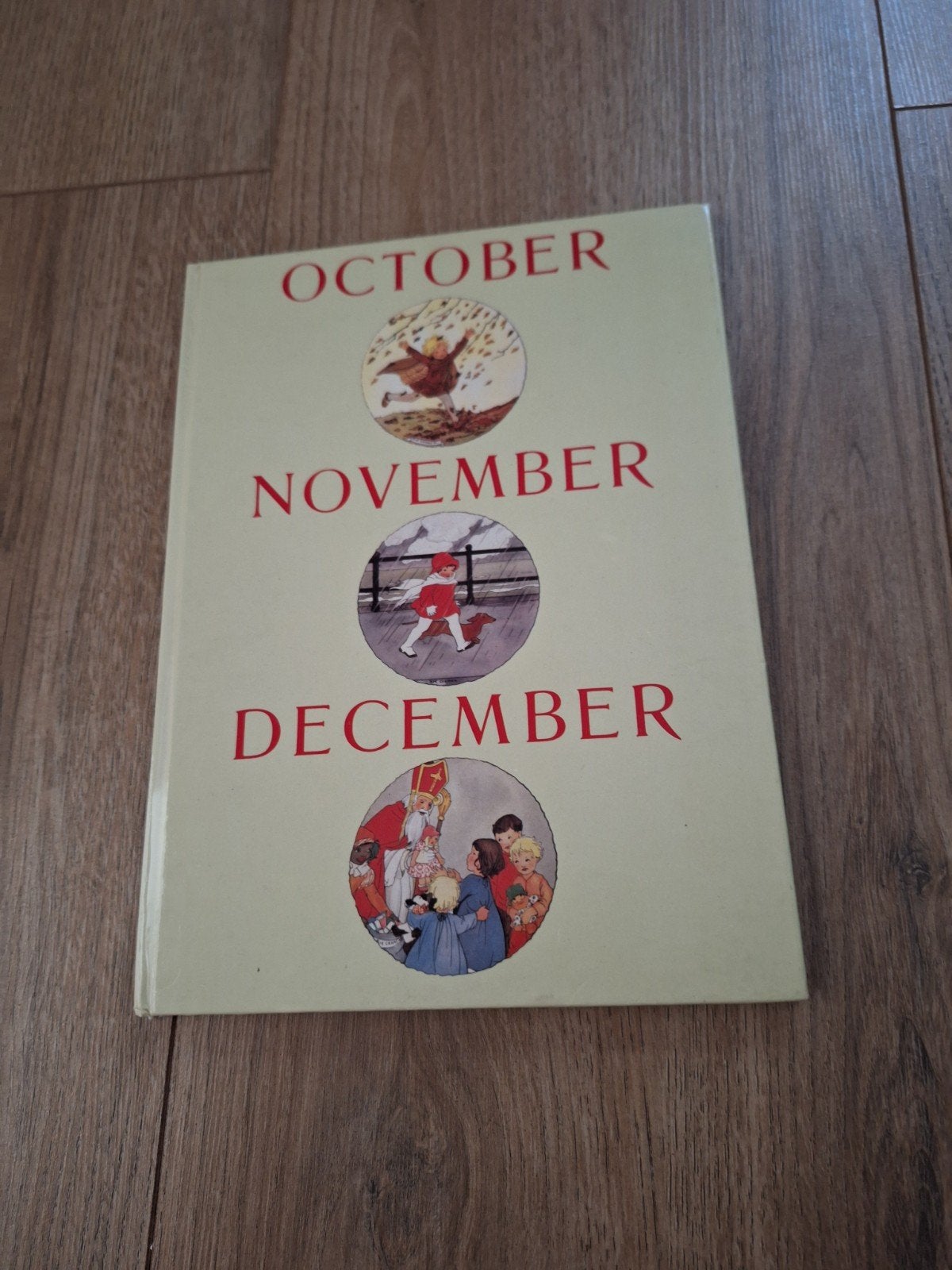 Boek Rie Cramer, Ophalen of Verzenden