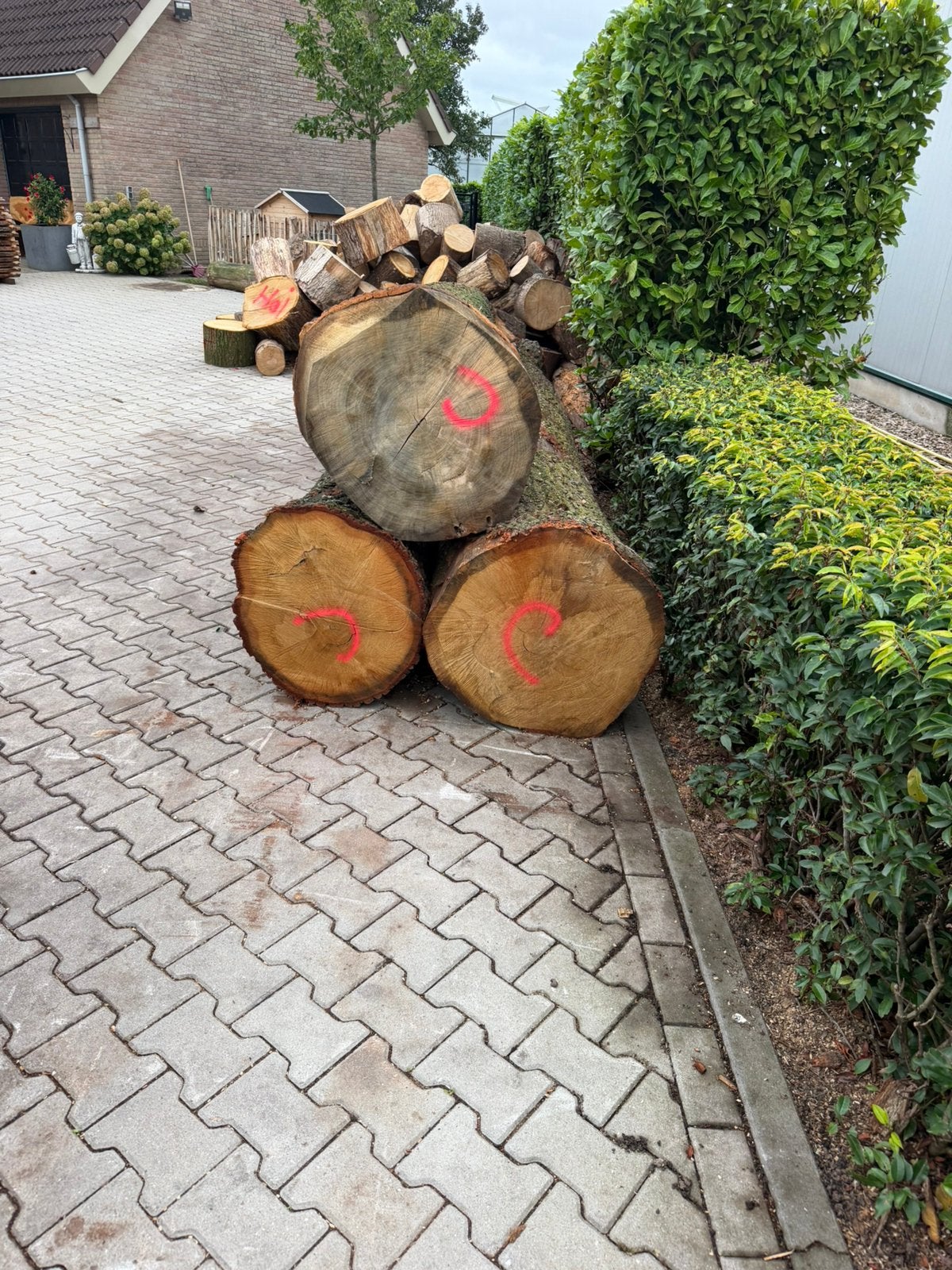 3 mooie eiken zaagstammen, Tuin en Terras, 3 tot 6 m³, Ophalen, Eikenhout, Stammen