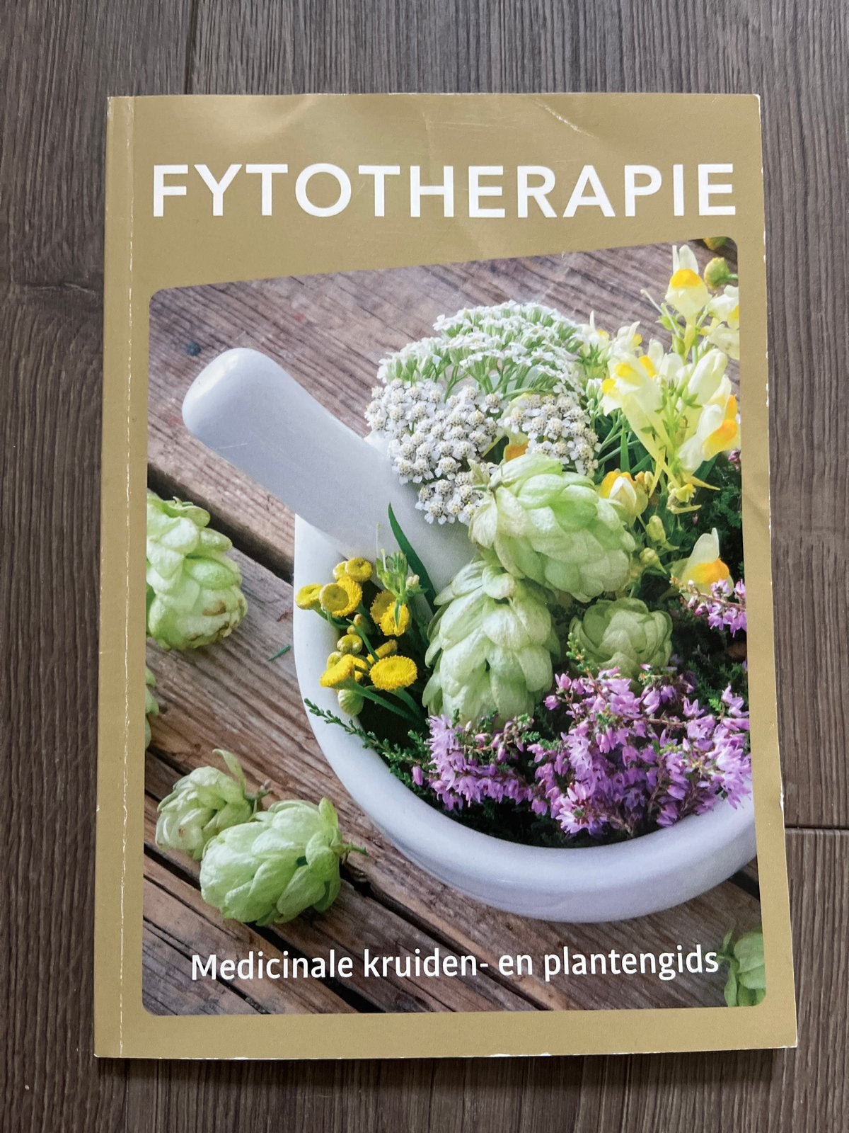 Fytotherapie: Medicinale kruiden- en plantengids, Ophalen of Verzenden, Zo goed als nieuw, Kruiden en Alternatief