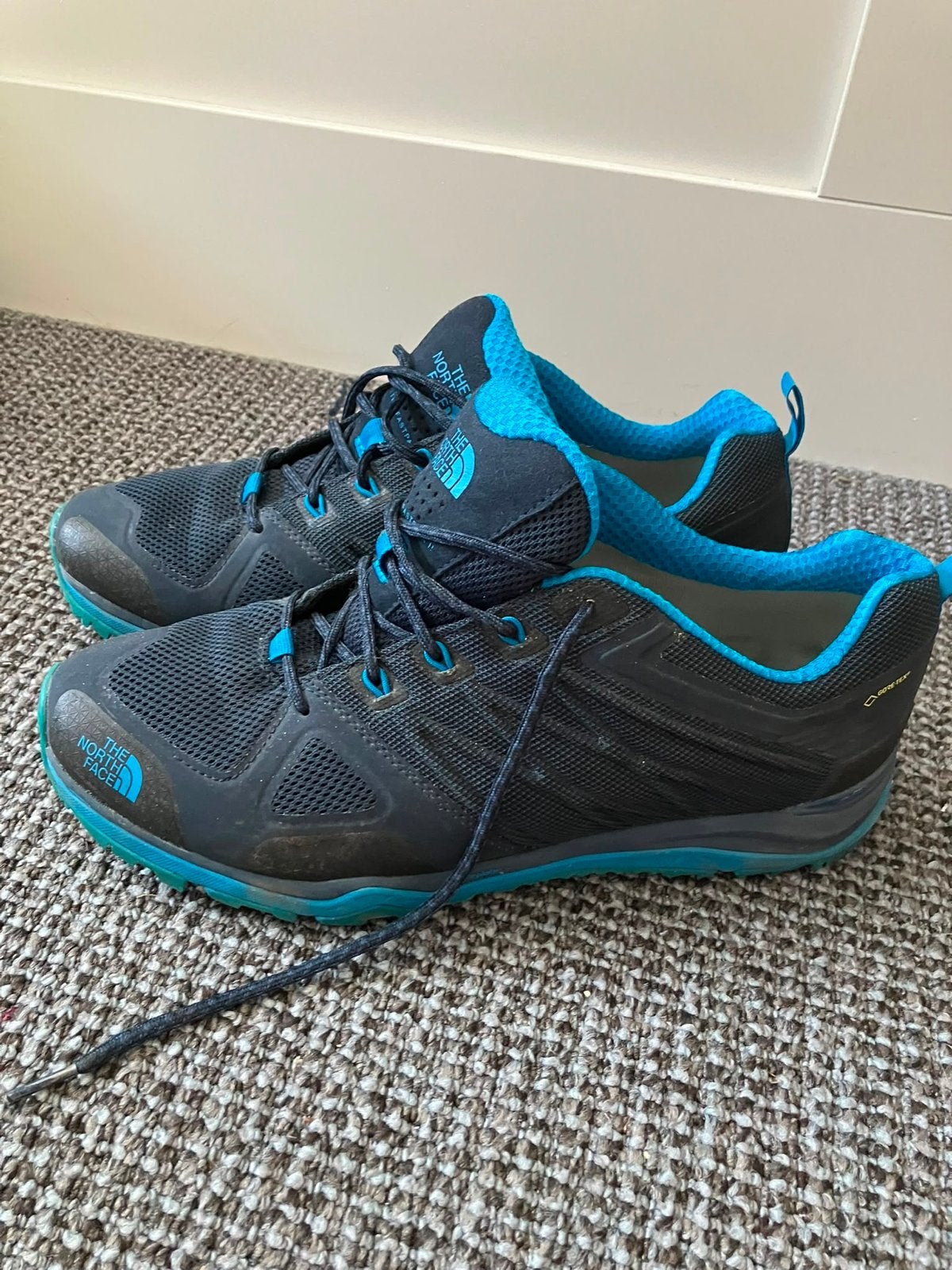 The North Face wandelschoenen - maat 45 Goretex, Ophalen of Verzenden, Gebruikt, Schoenen