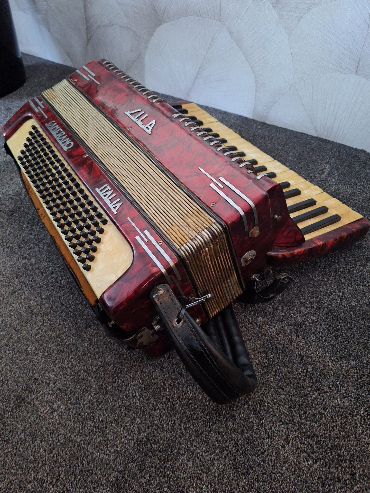 Sila Camerano Italia Accordeon jaren '50 - 120 bassen, Overige merken, Gebruikt, Overige formaten, Met koffer