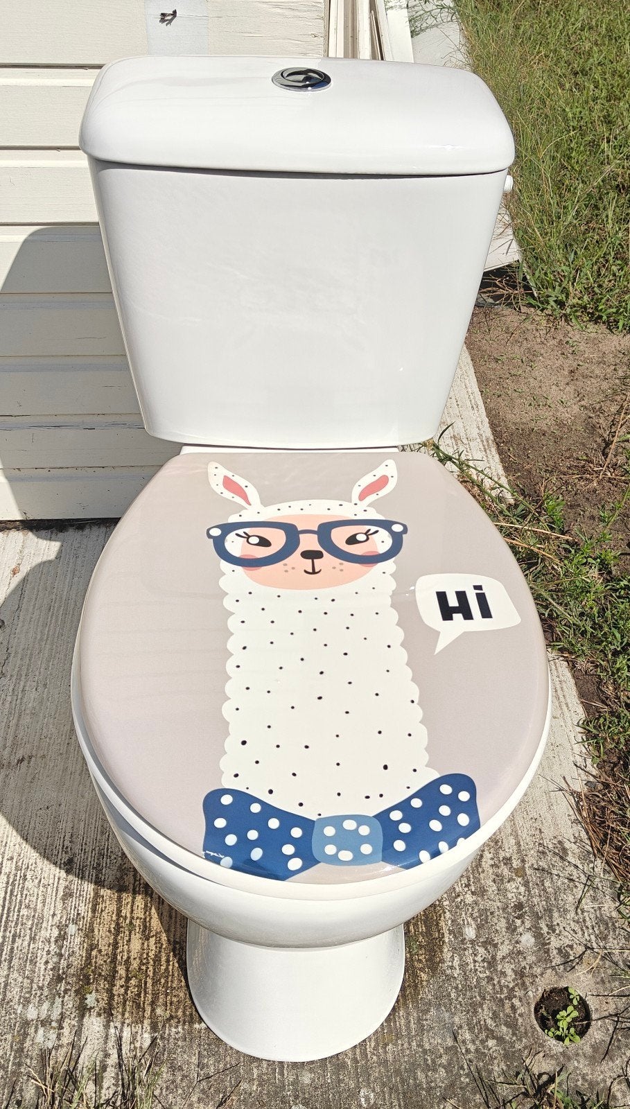 Staand toilet met lamabril, Ophalen, Gebruikt, Toilet