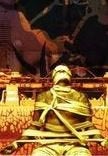 Sepultura Chaos DVD-Uitgave Hardrock, Alle leeftijden, Ophalen of Verzenden, Nieuw in verpakking