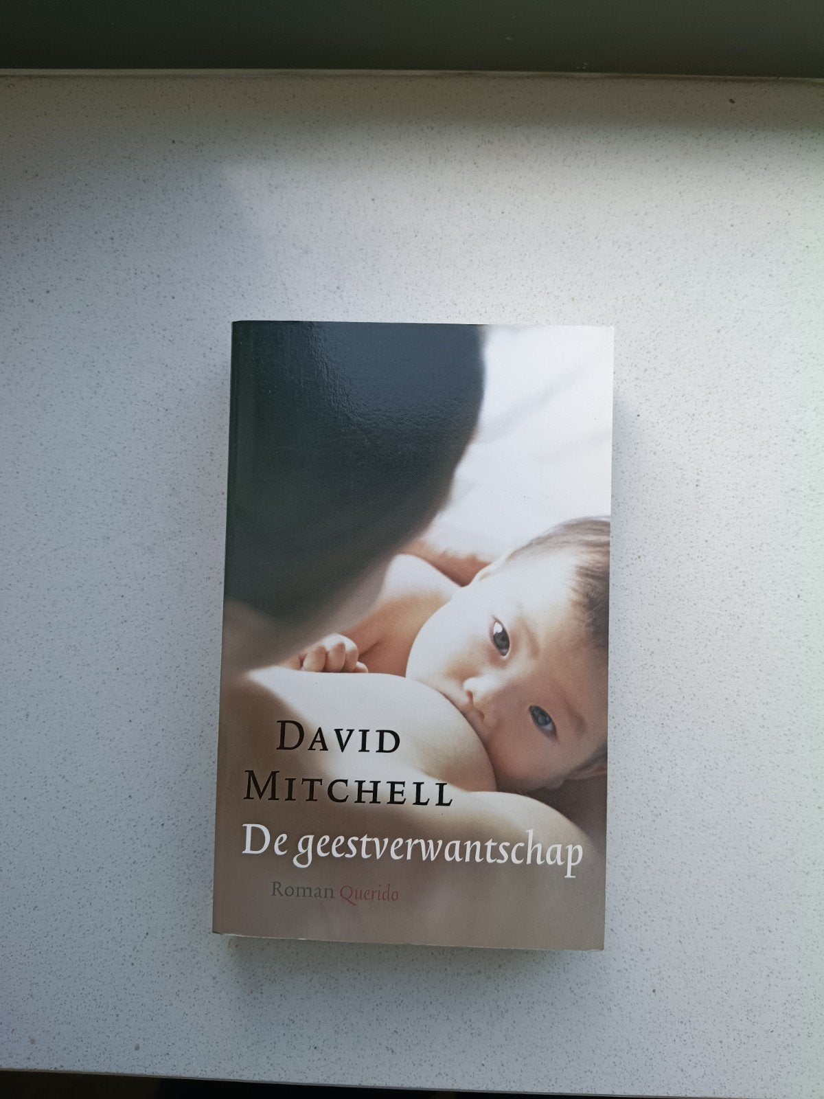 De Geestverwantschap - David Mitchell, Boeken, Ophalen of Verzenden, Gelezen