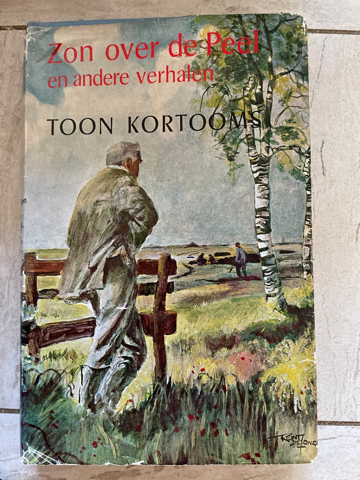 Zon over de Peel en andere verhalen - Toon Kortooms, Ophalen of Verzenden, Gelezen, Nederland