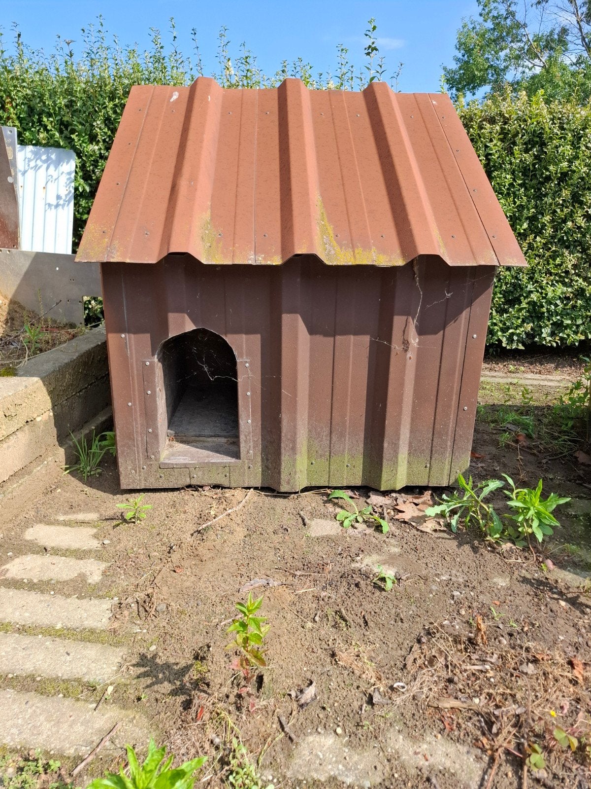 Hondenhok, Dieren en Toebehoren, Hondenhokken, Ophalen, 65 tot 100 cm