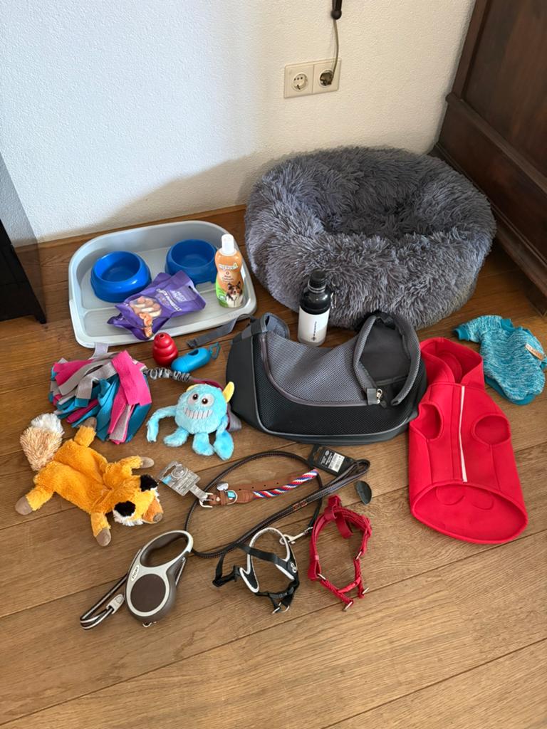 Hondenspullen. Groot hondenpakket (20-delig)voor kleine hond, Ophalen of Verzenden, Zo goed als nieuw