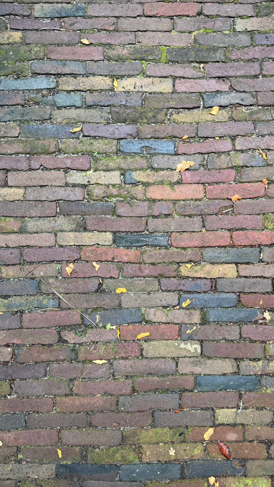 16 m² oude gebakken klinkers 20x10x5 – 10-duimers, Ophalen, Gebruikt, Bakstenen