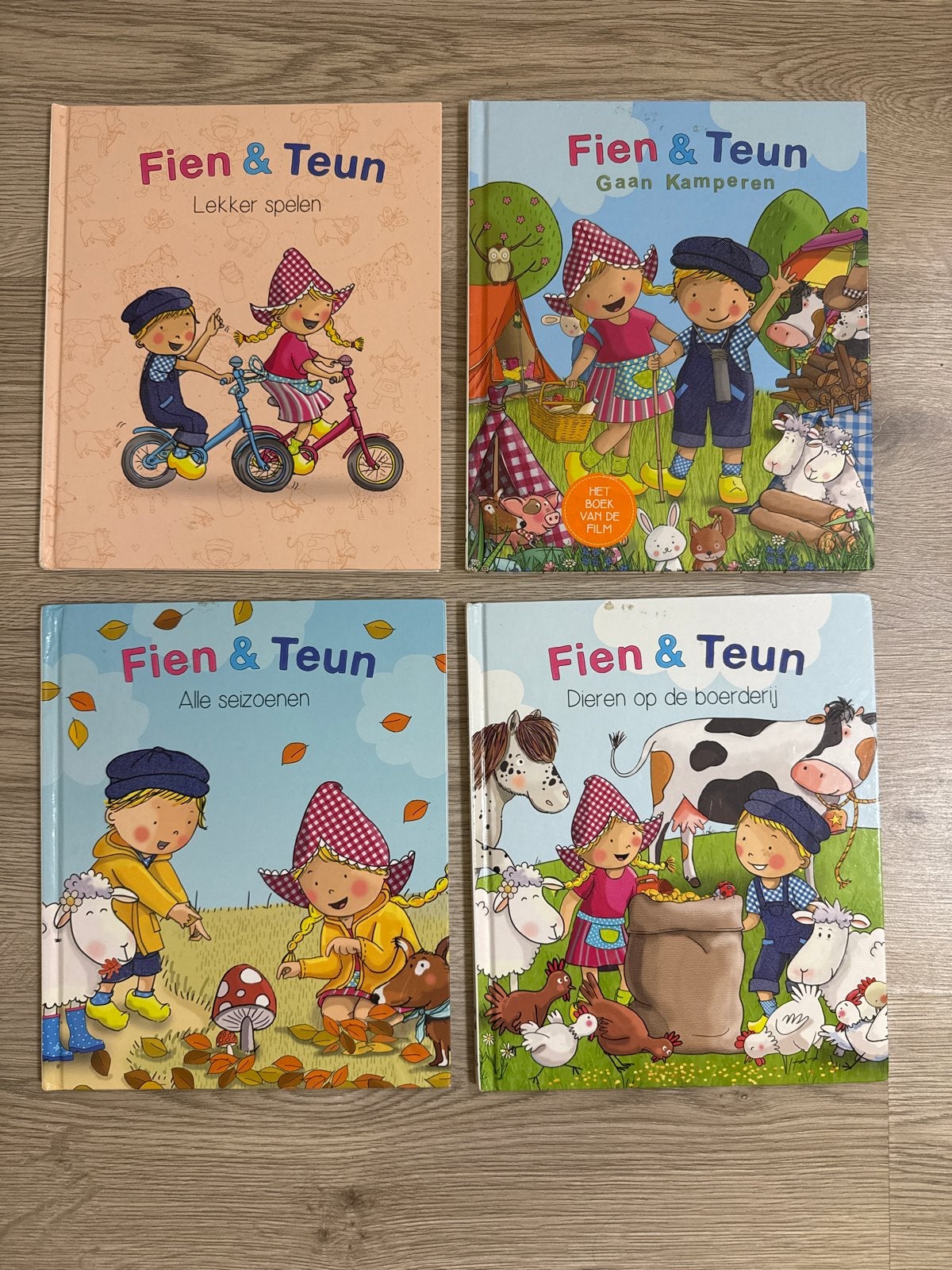 4 Fien & Teun boekjes - Zo goed als nieuw, Verzenden, Zo goed als nieuw, 2 tot 3 jaar