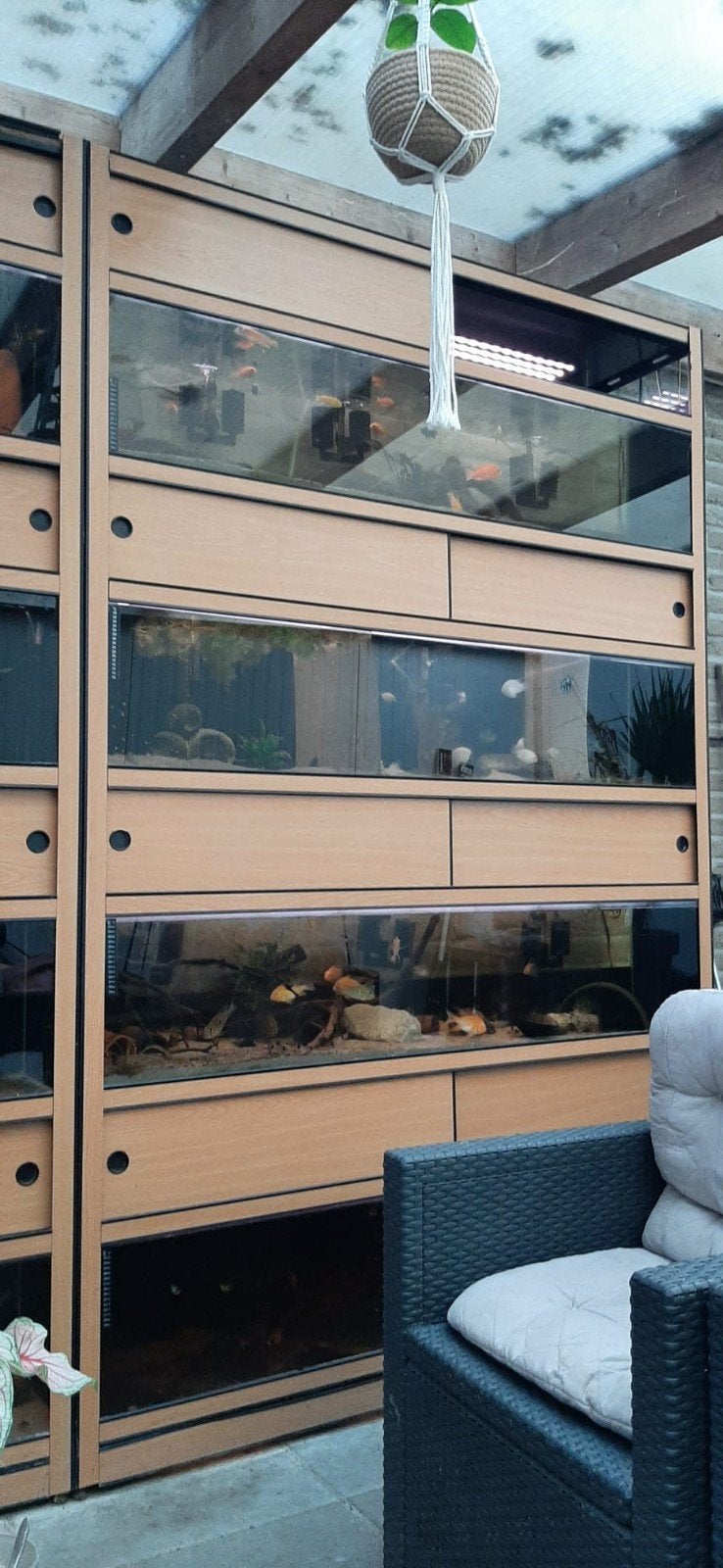 2 x kweekstelling, Ophalen, Leeg aquarium
