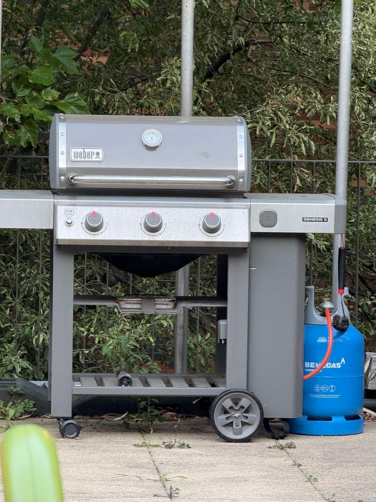 Weber Genesis II E-310 GBS, Ophalen