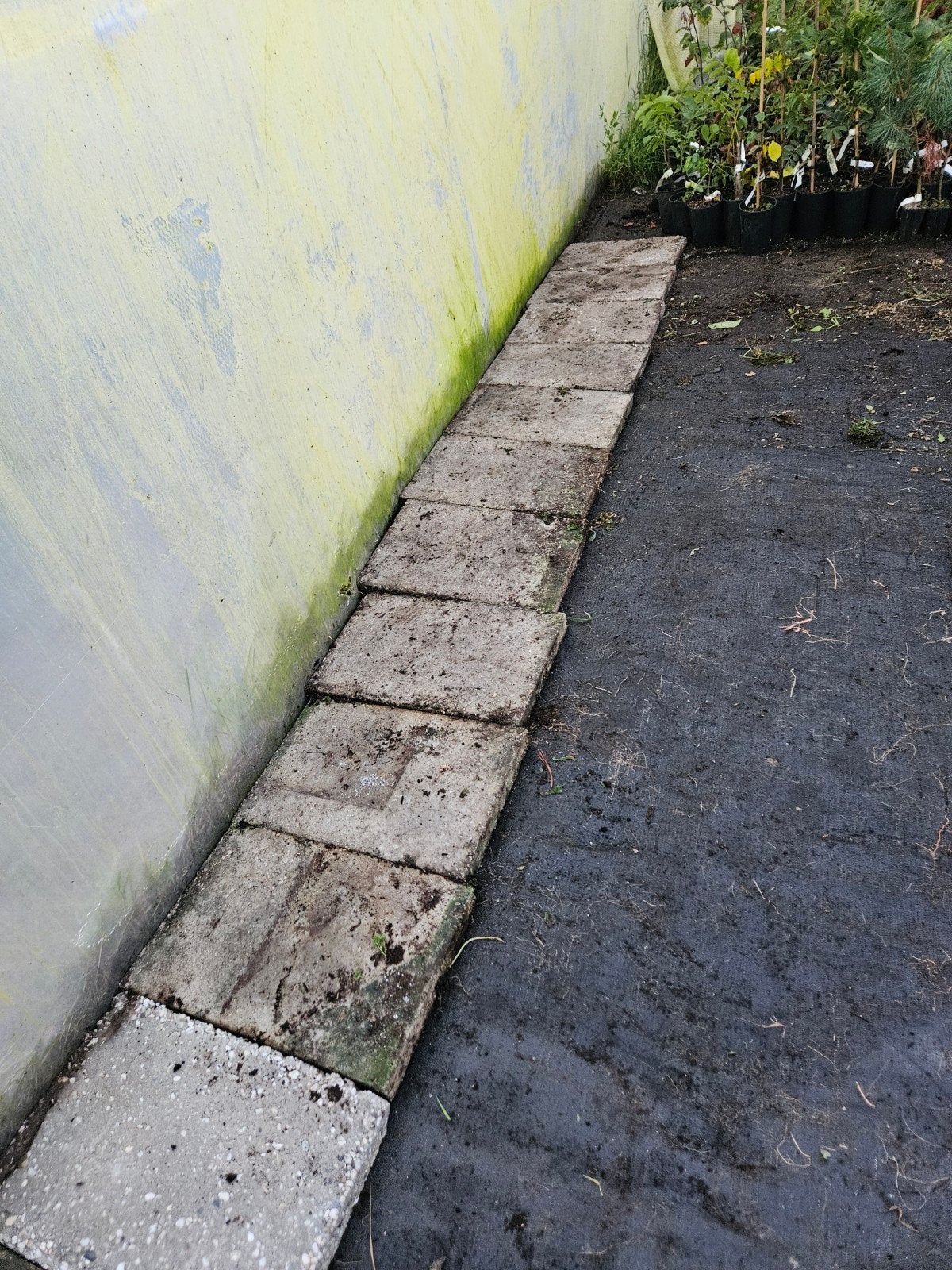 gezocht betontegels 40x60, Ophalen of Verzenden, Beton, Terrastegels
