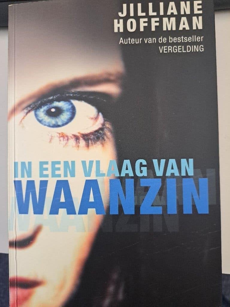 In een vlaag van waanzin, geschreven door Jilliane Hoffman, Ophalen of Verzenden, Gelezen
