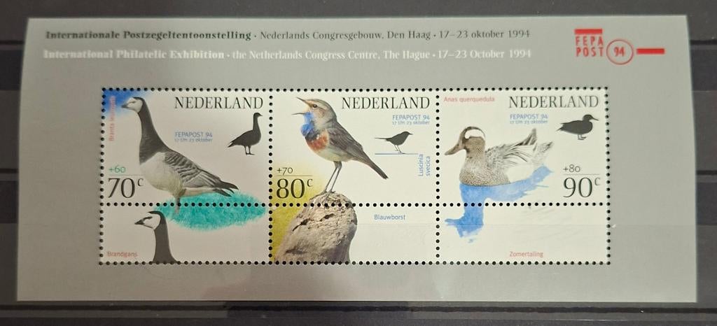 Nederland Vogels Postzegel Vel, Ophalen of Verzenden, Na 1940, Postfris