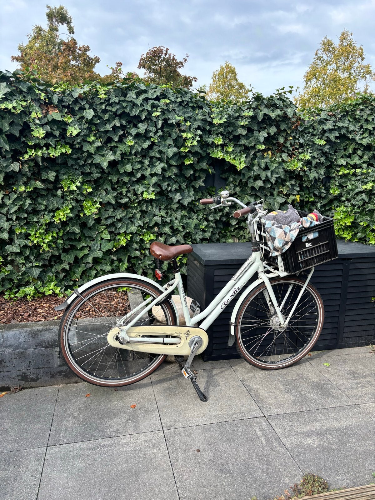 Gazelle damesfiets met voordrager en mand, Fietsen en Brommers, Fietsen | Dames | Damesfietsen, Ophalen, Velgrem, Versnellingen