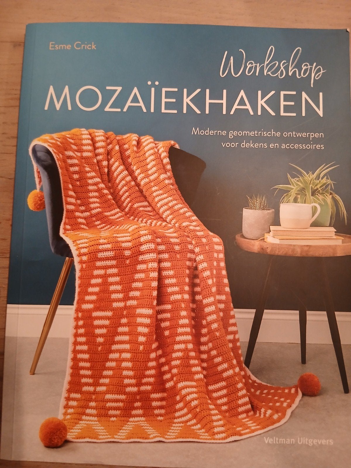 Esme Crick - Workshop mozaïekhaken, Breien en Haken, Esme Crick, Ophalen of Verzenden, Zo goed als nieuw