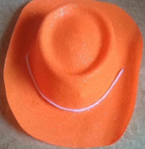 Oranje hoed nieuw, Ophalen of Verzenden, Nieuw, One size fits all, Hoed