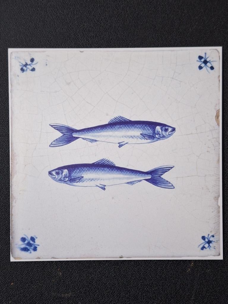 Decoratie tegel voor keuken met twee vissen, Ophalen