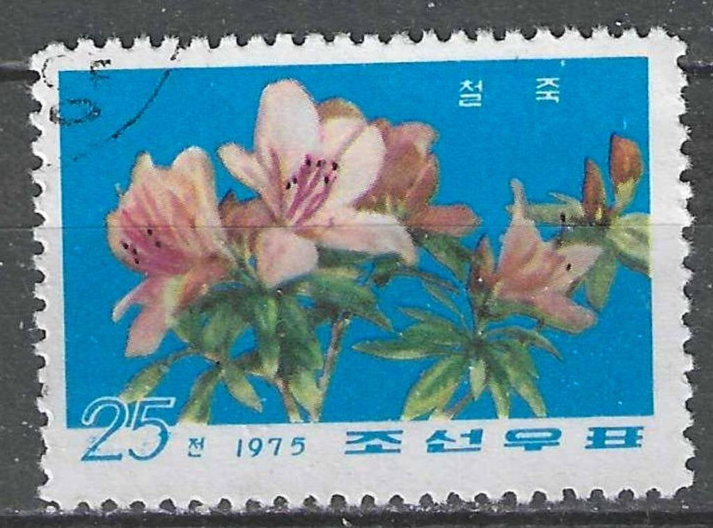 Noord-Korea 1975 - Yvert 1339 - Azalea - 25 ch. (ST), Verzenden, Gestempeld, Oost-Azië