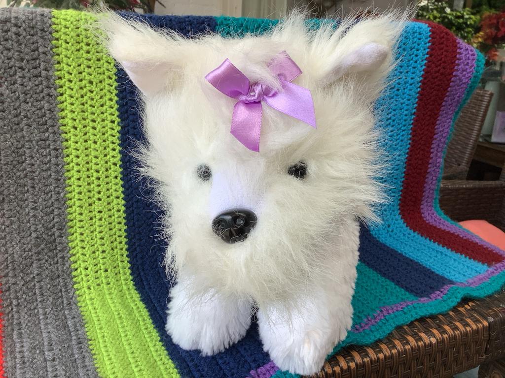 Super schattig wit hondje - Steun KIKA!, Zo goed als nieuw, Middelgroot (20 tot 80 cm), Wasbaar, Wit