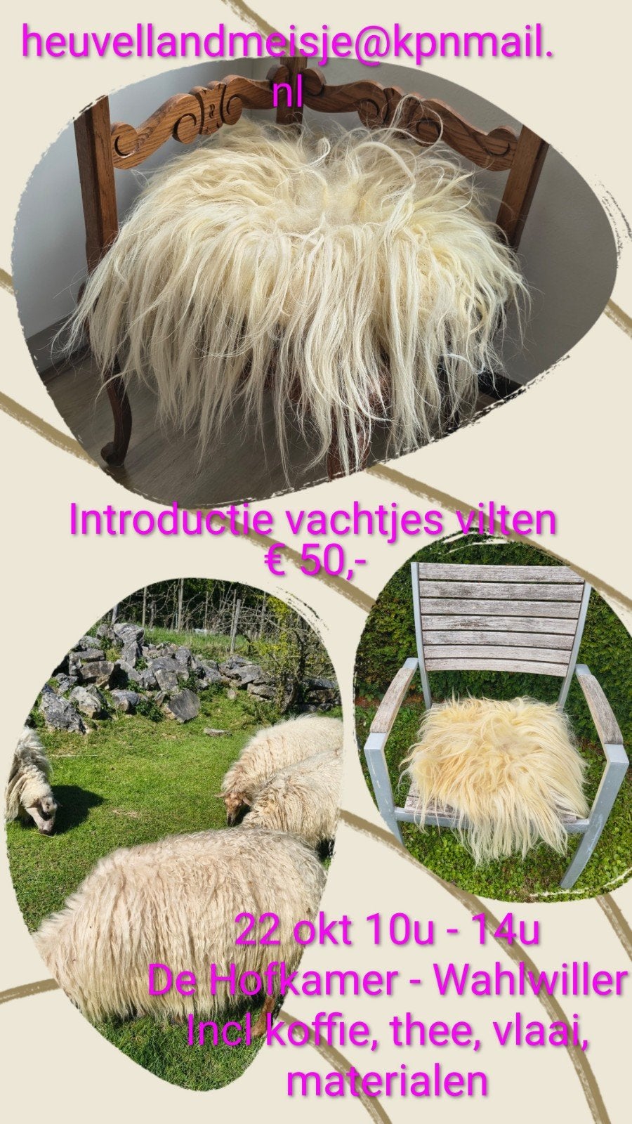 Workshop vachtje vilten, Ophalen, Nieuw