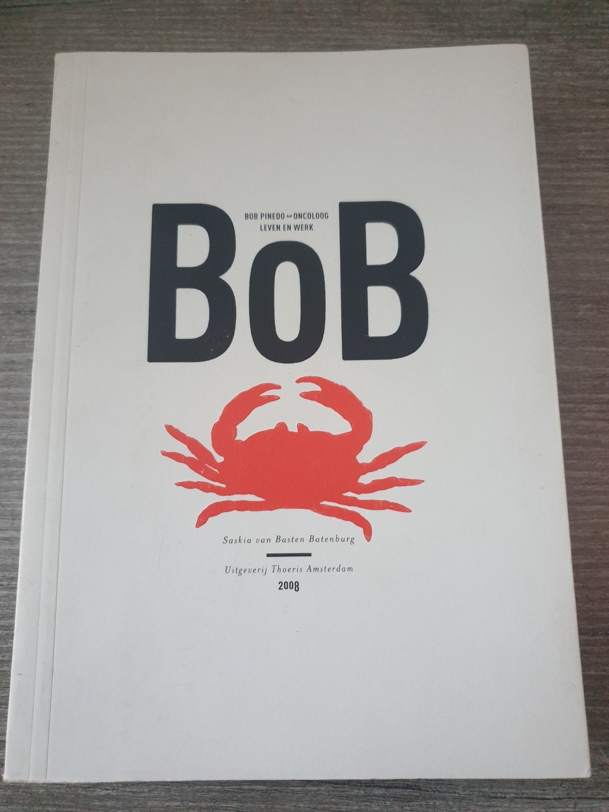 BOB Pinedo Oncoloog - Leven en Werk, Ophalen of Verzenden, Gelezen, Saskia van Basten Batenburg, Wetenschap