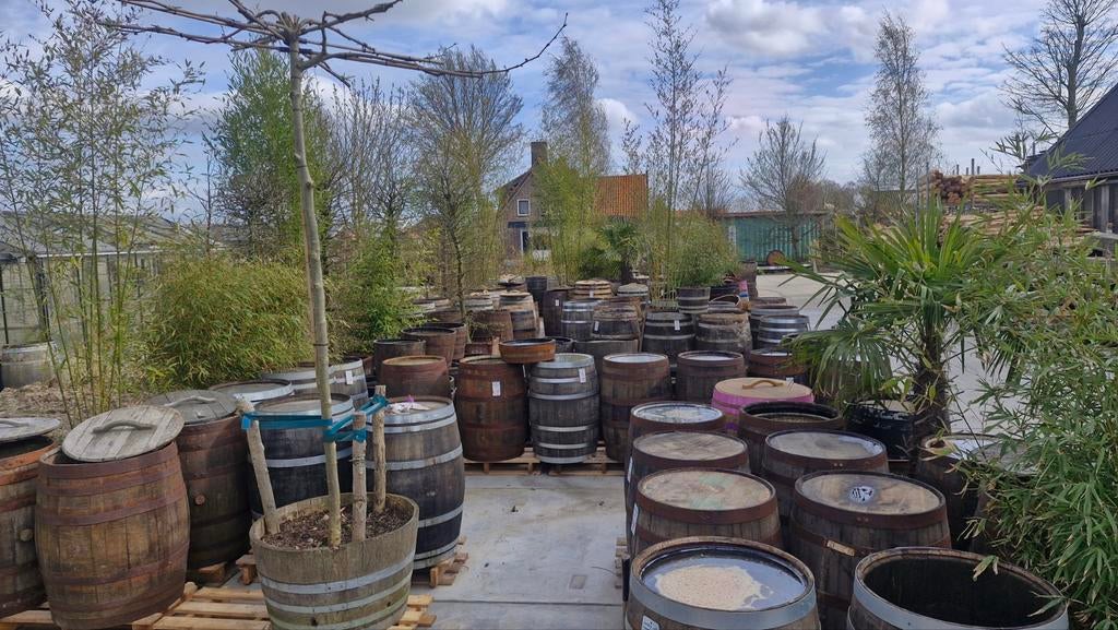 OPRUIMING regenton wijnvat whisky vat, Rond, Nieuw, Ophalen of Verzenden, Balkon