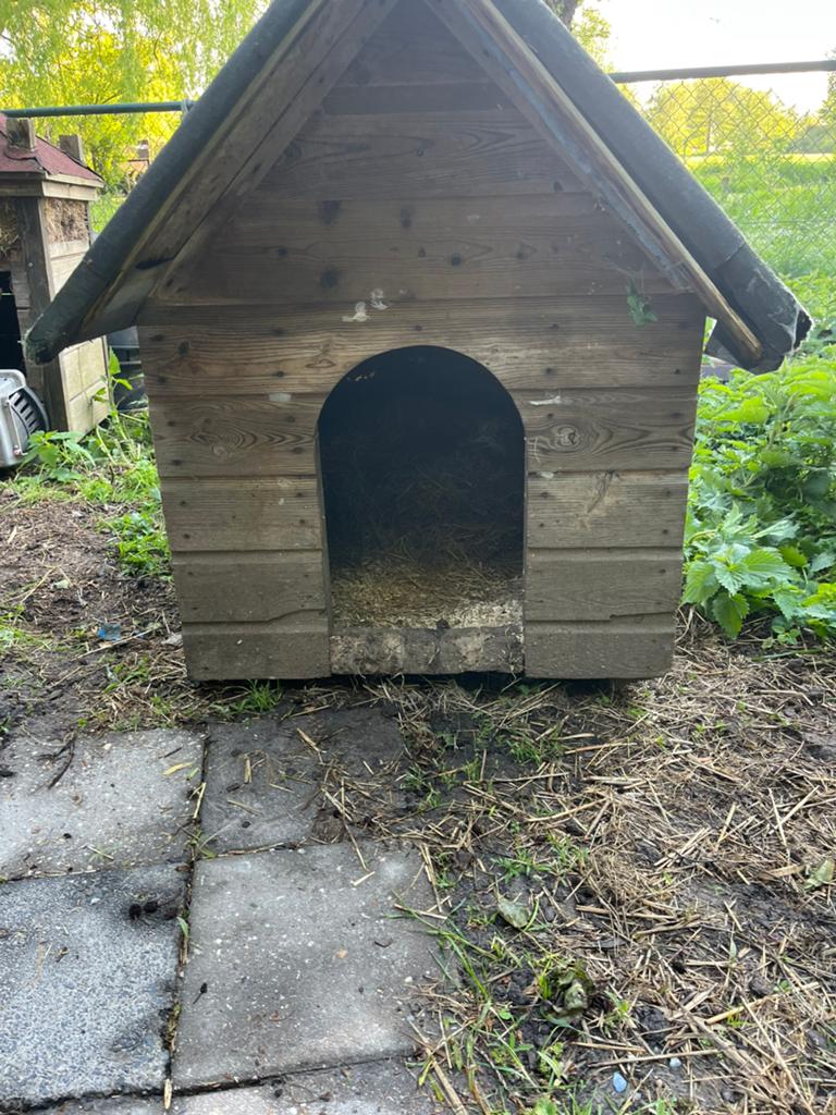 Gratis honden/eenden/kippen/konijnenhok, Dieren en Toebehoren, Ophalen, Zo goed als nieuw, 110 cm of meer, 100 cm of meer