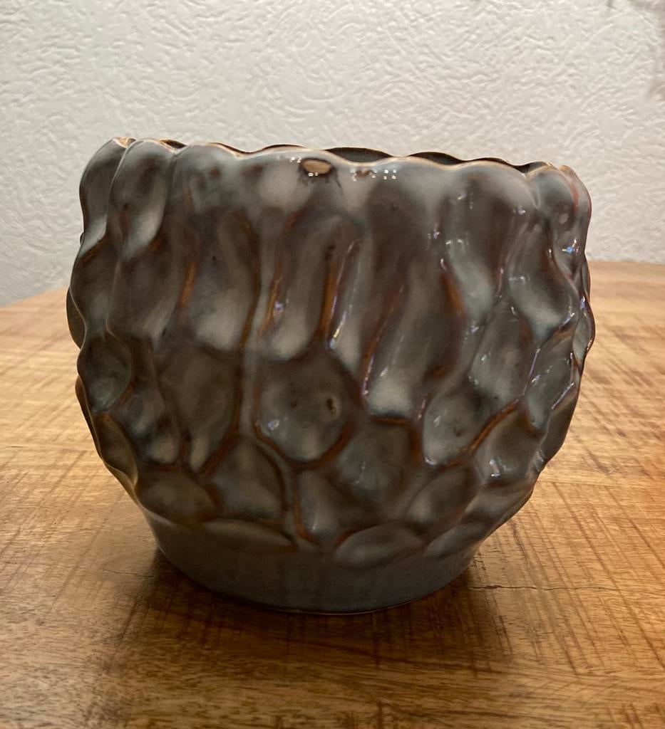 Mooie planten pot met afvoer gat ( cactus/ caudex ), Tuin en Terras, Bloempotten, Rond, Ophalen of Verzenden, Zo goed als nieuw