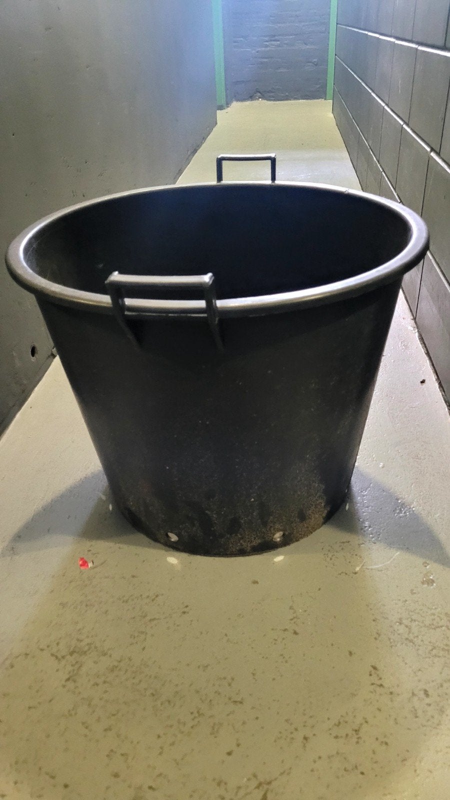 planten pot XXL, Ophalen of Verzenden, Overige soorten, Volle zon