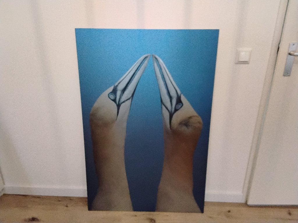 Dibond 80x120, Huis en Inrichting, Ophalen, Zo goed als nieuw, Minder dan 50 cm, Schilderij