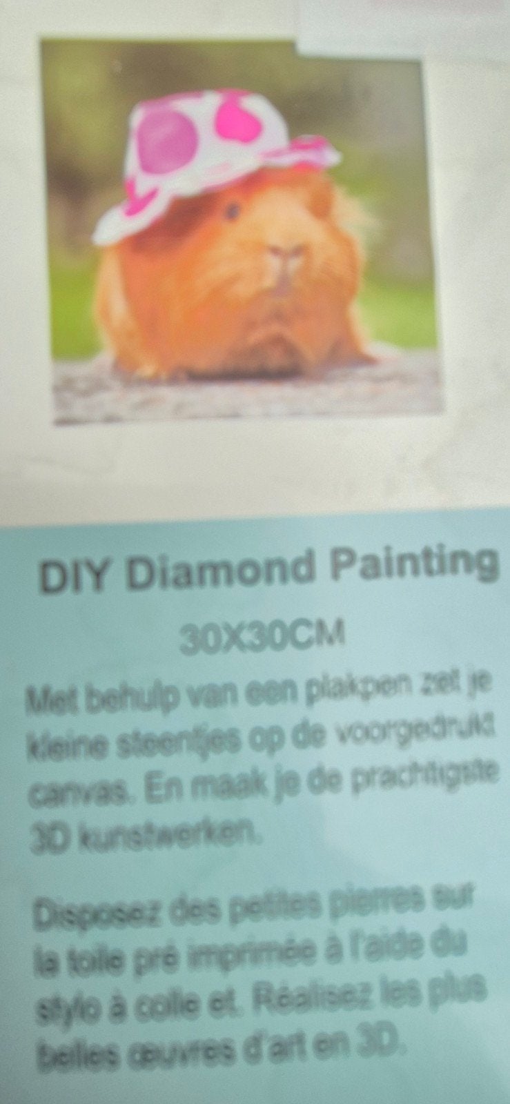 DIY Diamond Painting Cavia met Hoed 30x30CM, Hobby en Vrije tijd, Handgemaakt, Nieuw, Meerkleurig, Ophalen of Verzenden