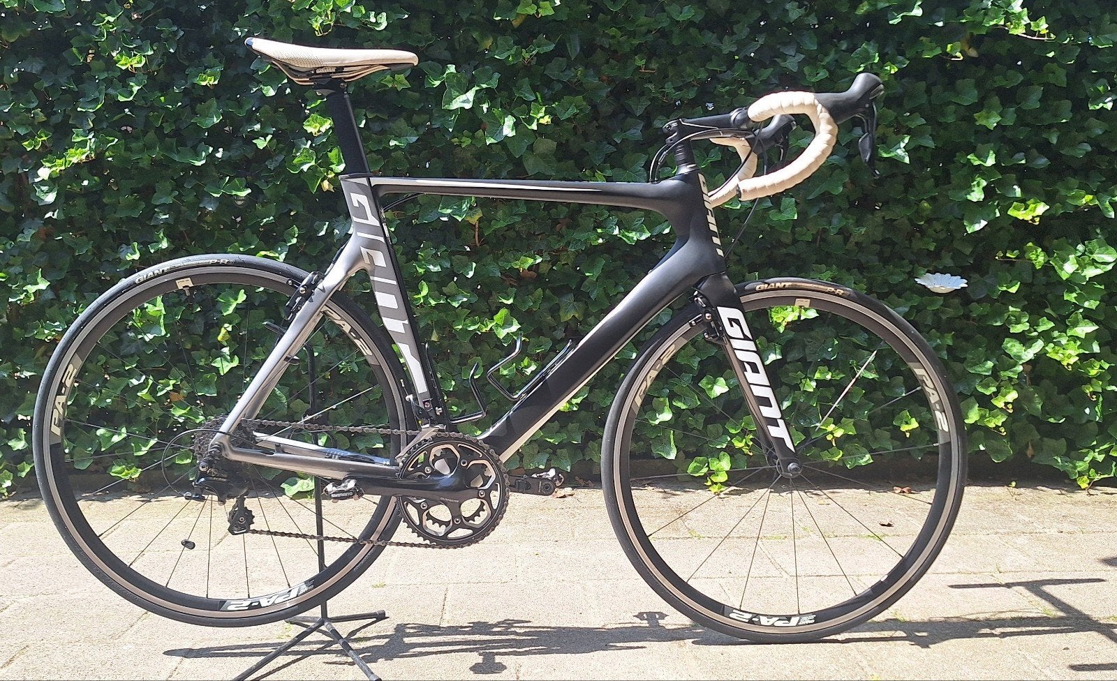 Giant Propel carbon, Ophalen, Carbon, Velgrem, Giant