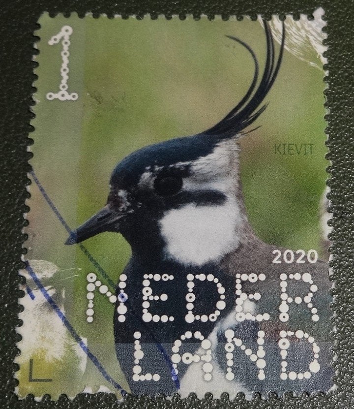 Beleef de Natuur - 3830 - 2020 - Kievit - PNe01-07, Verzenden, Na 1940, Gestempeld