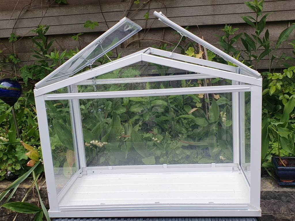 Prachtig nieuw kweekkas van glas en metaal, 45x 22x  35, Ophalen of Verzenden, Glas, Nieuw, Staal