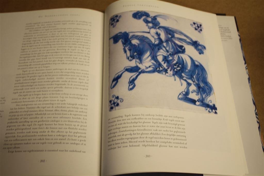 Boek. De Nederlandse tegel. Hans van Lemmen., Ophalen of Verzenden