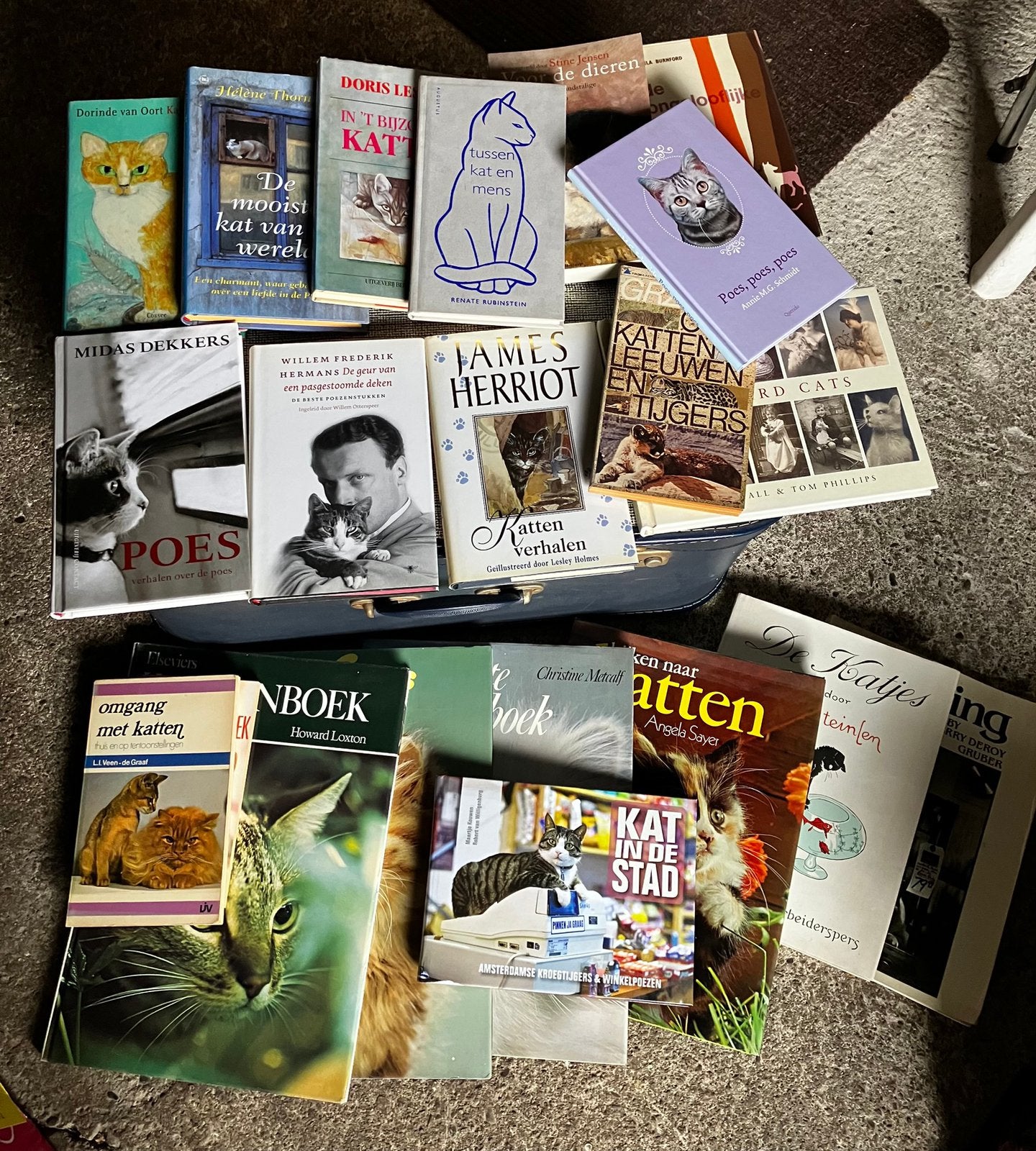 Kattenboeken, verzameling, ook per stuk te koop, Boeken, Ophalen of Verzenden, Zo goed als nieuw, Katten