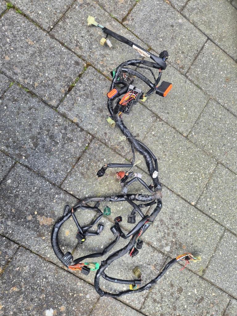 Vstrom dl650 kabelboom, Motoren, Onderdelen | Suzuki, Ophalen