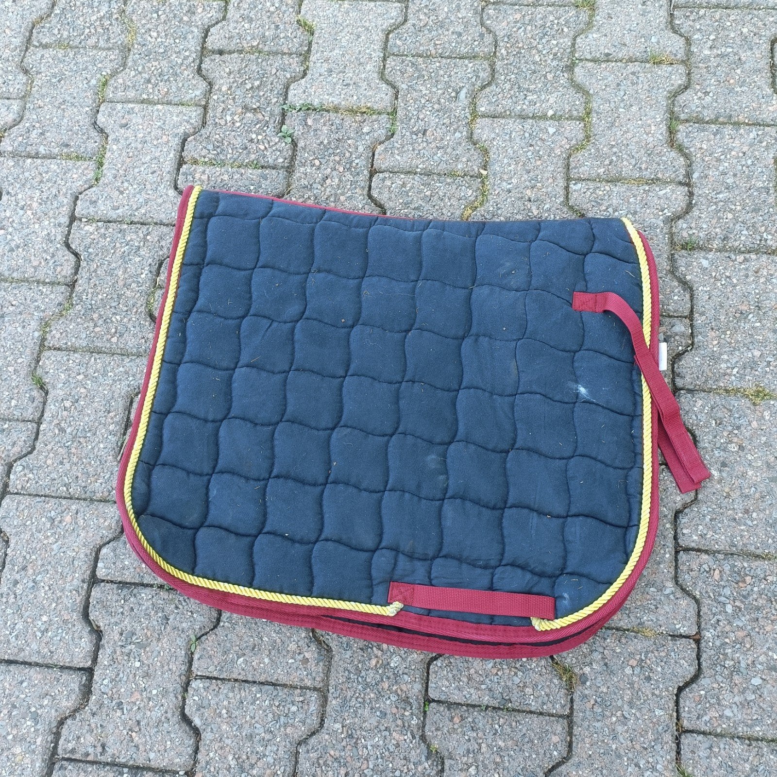 Dekje pony dressuur