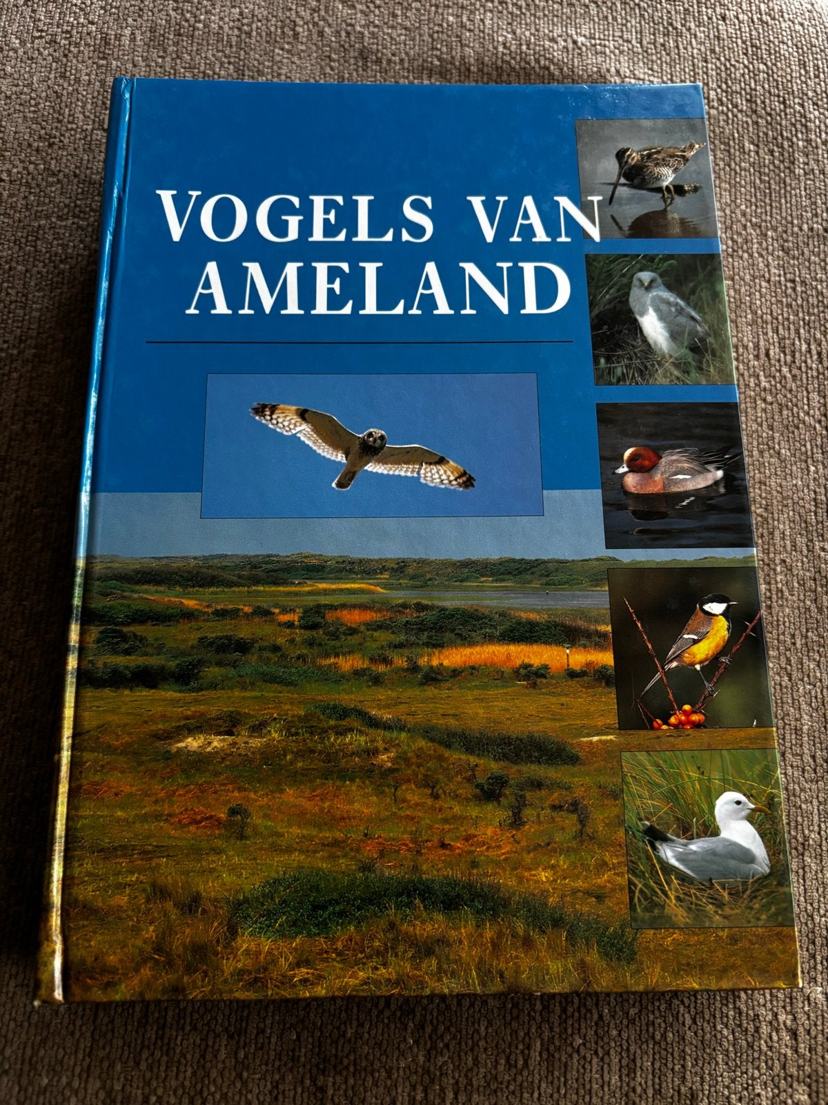 Vogels van Ameland - Standaardwerk Waddeneiland, Ophalen of Verzenden, Gelezen, Vogels