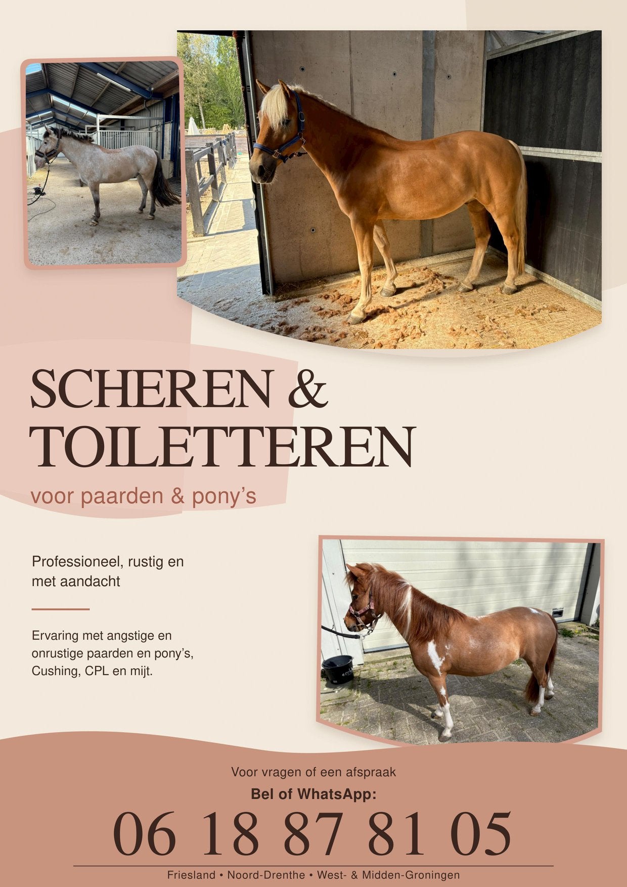 Scheren van uw paard of pony