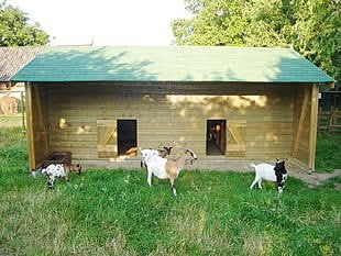 geitenhok, Ophalen of Verzenden, Nieuw