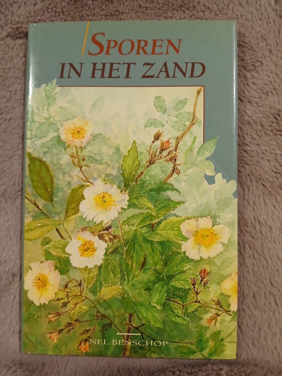 Nel Benschop - Sporen in het zand - Hardcover, Ophalen of Verzenden, Zo goed als nieuw, Nel Benschop