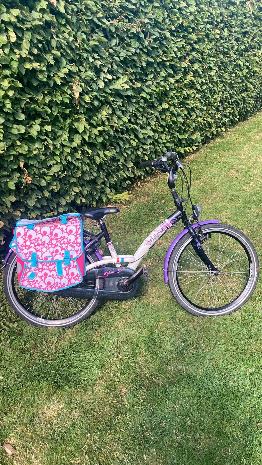 Batavus 24 inch meisjesfiets, Fietsen en Brommers, Fietsen | Kinderfietsjes, Ophalen, Gebruikt, Velgrem, 20 inch of meer