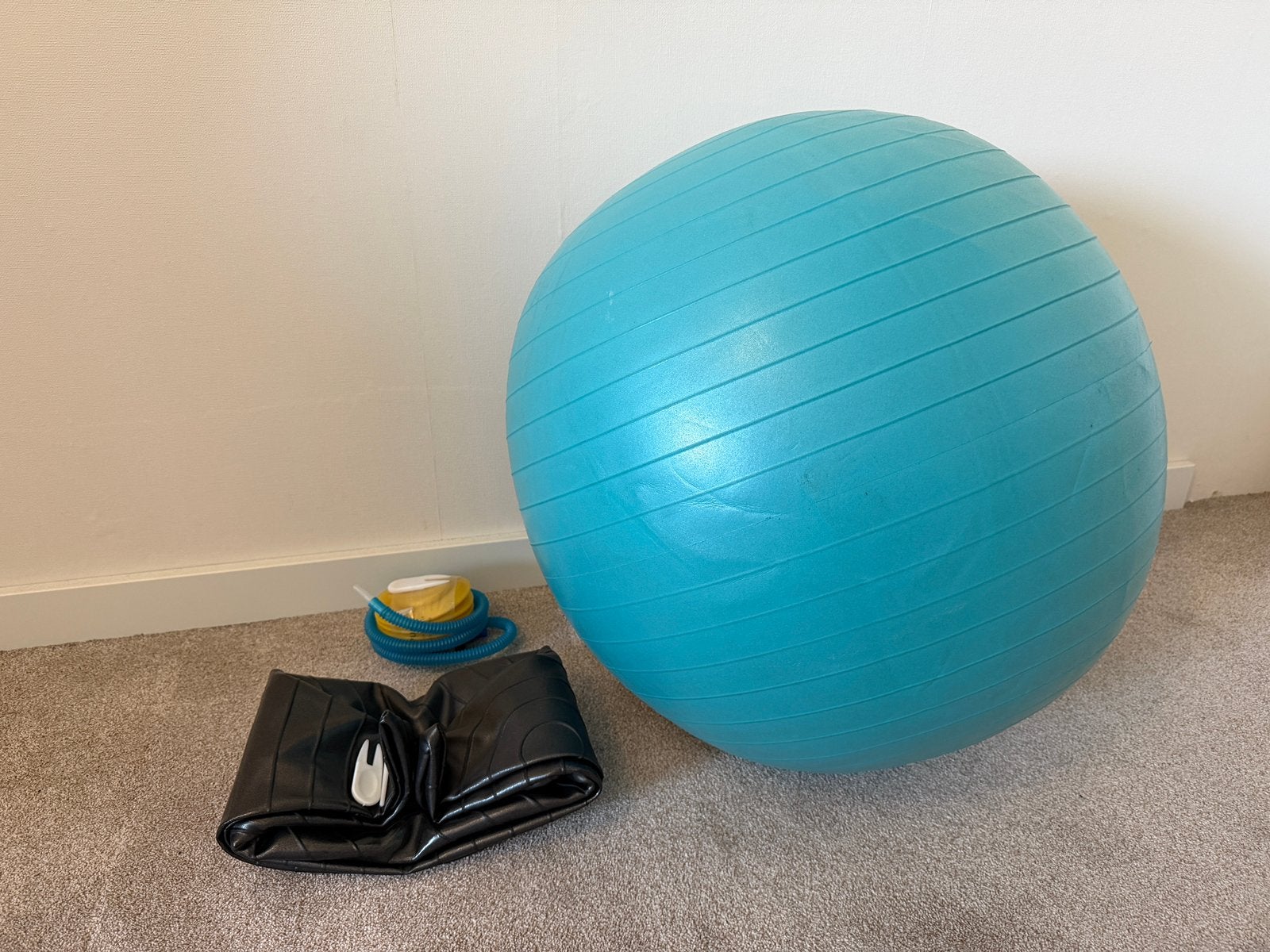 2x zitbal, inclusief hand- en voetpomp, Kunststof, Gebruikt, Ophalen of Verzenden, 50 tot 75 cm