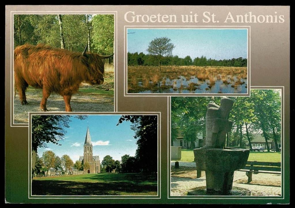 St. Anthonis : Groeten uit St. Anthonis, Verzenden, 1980 tot heden, Gelopen, Noord-Brabant