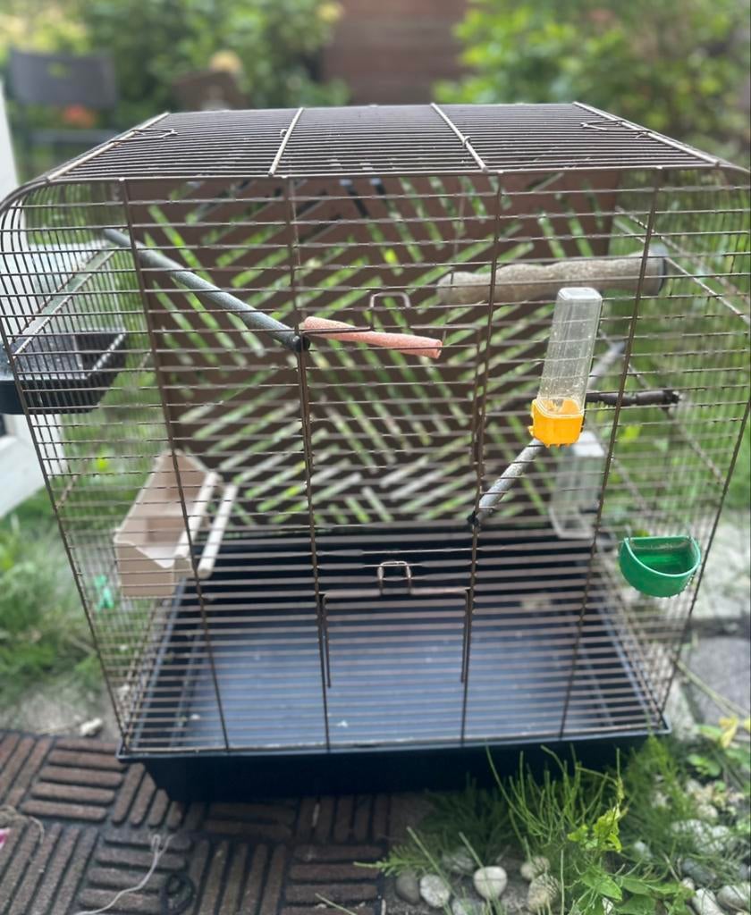 Vogelkkooı, Ophalen, Zo goed als nieuw, Metaal, Vogelkooi